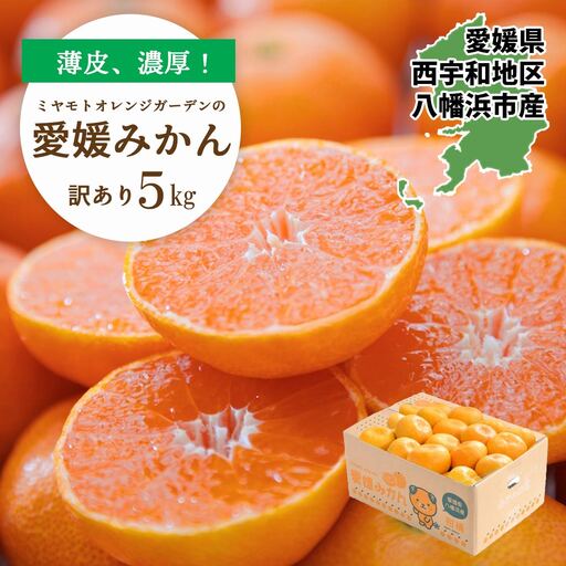 西宇和地区八幡浜産 愛媛みかん5kg【訳あり】【C25-176】【1606088】 YWTAP117