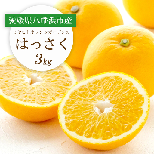 【先行受付】ぷりぷり!酸味さわやか 八朔(はっさく)3kg【C25-187】【1609975】 YWTAP128