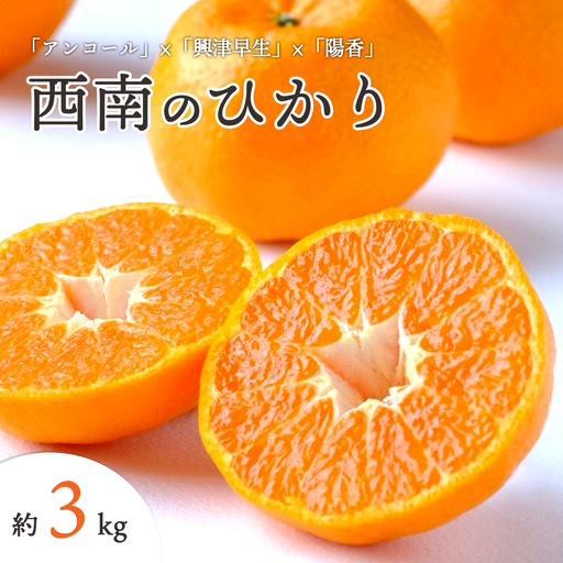 【先行受付】愛媛県八幡浜市産 西南のひかり 3kg【C25-191】【1610084】 YWTAP132