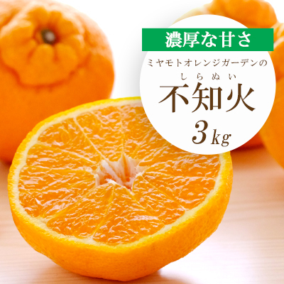 [先行受付]デコポンと同品種 濃厚柑橘 不知火(しらぬい) 3kg[C25-203][1612369] YW