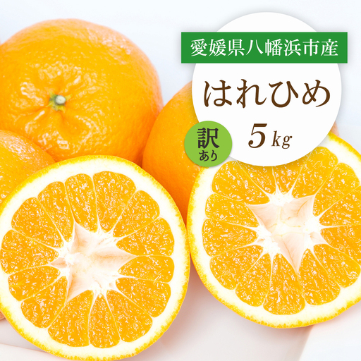 【先行受付】愛媛県八幡浜市産 はれひめ5kg【訳あり】【C25-207】【1612501】 YWTAP148