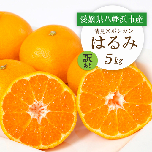 【先行受付】愛媛県八幡浜市産 はるみ5kg【訳あり】【C25-209】【1612666】 YWTAP150