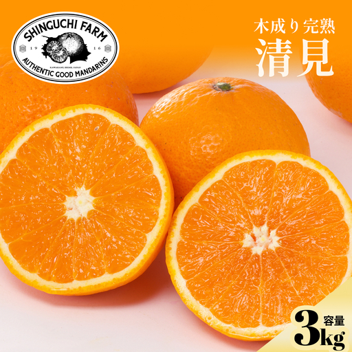 【先行受付】【太陽の恵みをギュッと凝縮】清見 3kg 愛媛県産【C70-71】【1615835】 YWTK070