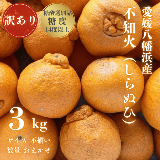 【先行受付】【糖度14.0以上 酸1.4以下】糖酸選別品 訳あり 不知火 (しらぬひ) 3kg【C20-58】【配送不可地域：離島】【1620248】 YWTI053