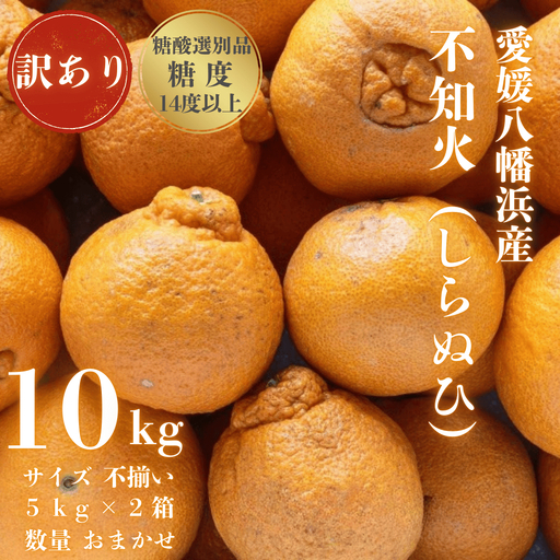 【先行受付】【糖度14.0以上酸1.4以下】糖酸選別品 愛媛産 訳あり不知火(しらぬひ)10kg【F20-63】【配送不可地域：離島】【1620233】 YWTI058