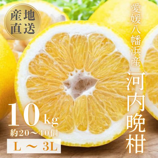 【先行受付】《果汁たっぷりジューシー》産地直送 愛媛八幡浜産 河内晩柑10kg【G20-80】【1621505】 YWTI075