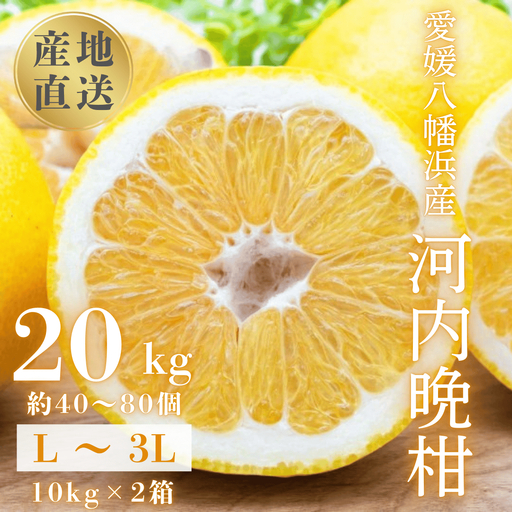 【先行受付】《果汁たっぷりジューシー》産地直送 愛媛八幡浜産 河内晩柑20kg【H20-81】【1621533】 YWTI076