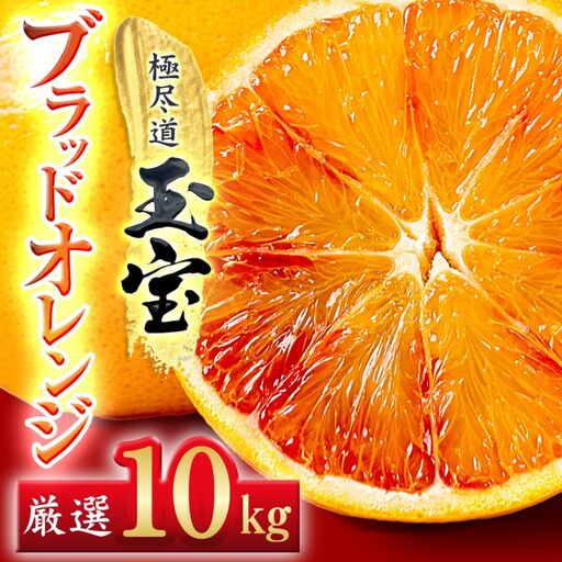 【先行受付】【愛媛名産】玉宝ブラッドオレンジ(タロッコ)　10kg【H64-67】【1621809】 YWTY056