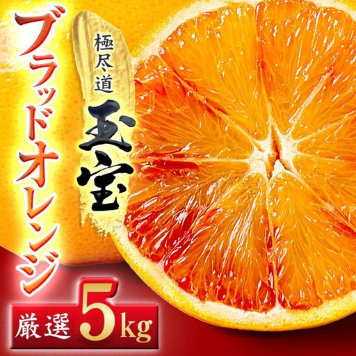 【先行受付】【愛媛名産】玉宝ブラッドオレンジ(タロッコ)　5kg【E64-68】【1621810】 YWTY057