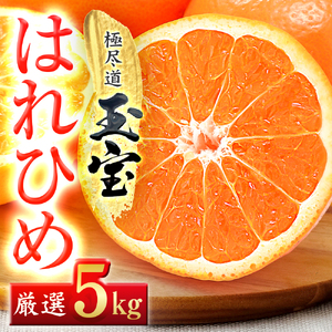 【先行受付】【愛媛名産】玉宝はれひめ　5kg【C64-71】【1621813】 YWTY060