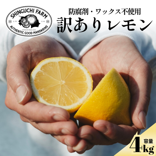 【先行受付 2027年発送】訳あり 愛媛レモン4kg 防腐剤・ワックス不使用【1622582】 YWTK073