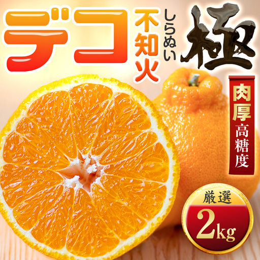【先行受付】【濃厚果実】コク深い甘み【デコ(不知火)（デコポンと同品種）】【極】2kg　愛媛県産【A49-95】【1623956】 YWTZ080