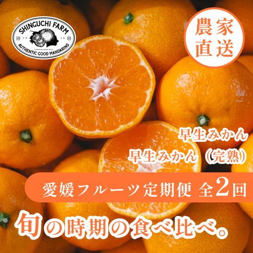 【発送月固定定期便】「時期による味の違いを楽しむ」愛媛みかんの旬を食べ比べ【F70-81】全2回【4067806】 YWTK080