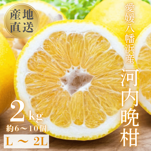 【先行受付】《果汁たっぷりジューシー》産地直送 愛媛八幡浜産 河内晩柑2kg【C20-90】【1625429】 YWTI085