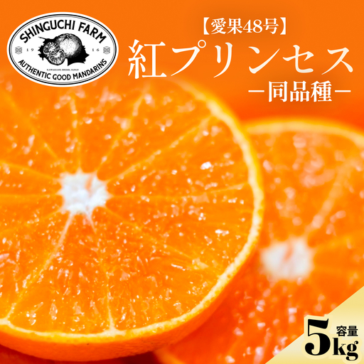【先行受付】《新品種》「甘平×まどんな」　愛果48号【紅プリンセスと同品種】【5kg】【家庭用】【G70-85】【1633356】 YWTK084