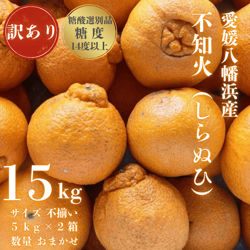 【先行受付】【糖度14.0以上酸1.4以下】糖酸選別品 愛媛産 訳あり不知火(しらぬひ)15kg【G20-96】【配送不可地域：離島】【1625364】 YWTI091
