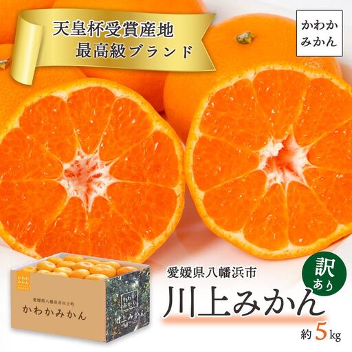 [先行受付][天皇杯受賞産地] 愛媛県八幡浜市川上町産 温州みかん 約5kg[訳あり][C25-247][1654045] YW