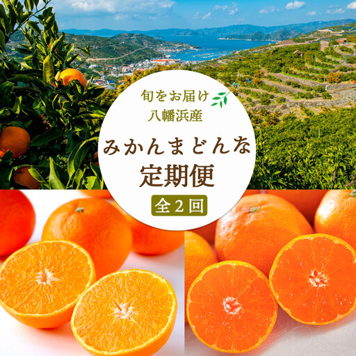 【発送月固定定期便】愛媛みかん7kg(訳)×まどんな 2.5kg 【F25-251】全2回【4071209】 YWTAP192