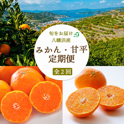 【発送月固定定期便】愛媛みかん5kg×甘平3kg【H25-267】全2回【4071242】 YWTAP208