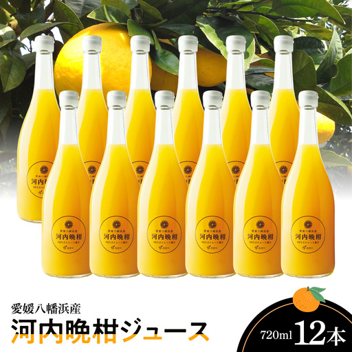 河内晩柑ジュース(ストレート)720ml×12本【H56-79】【1668628】 YWTAS069