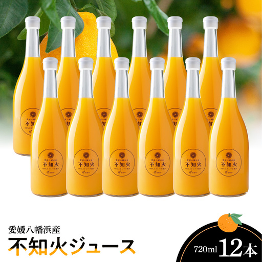 不知火ジュース(ストレート)720ml×12本【H56-80】【1668633】 YWTAS070