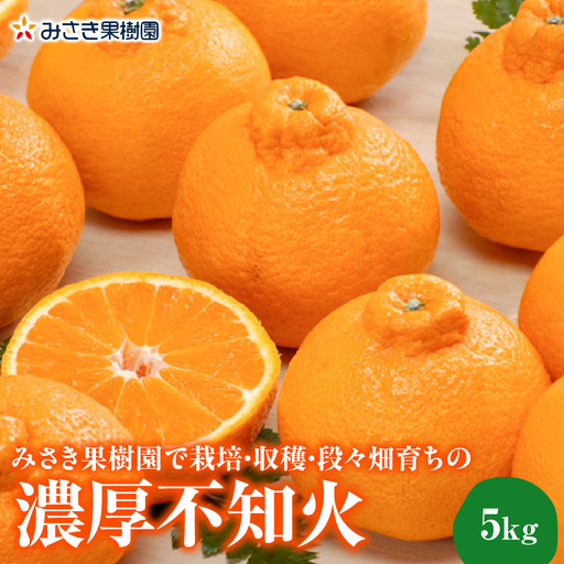 [先行受付]みさき果樹園で栽培・収穫・段々畑育ちの濃厚不知火5kg[C21-63]YW