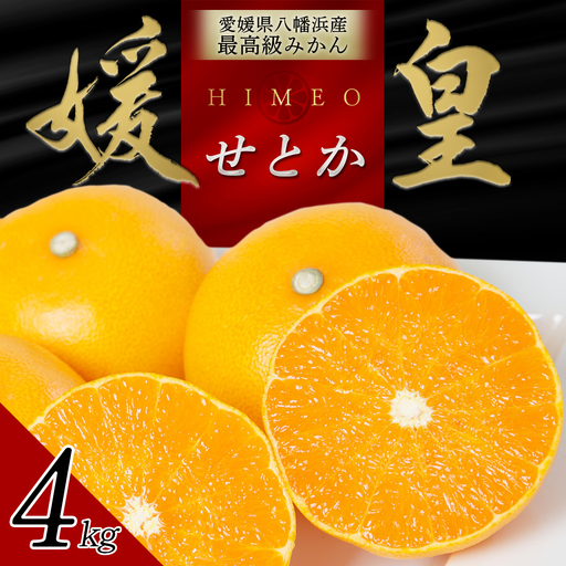 【先行受付】 最高級みかん 媛皇 せとか 4kg 愛媛県 八幡浜市 西宇和地区 柑橘の女王【F25-295】【1712701】 YWTAP236