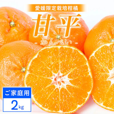 【先行受付】【ご家庭用】甘平 2kg 愛媛県 八幡浜産 西宇和地区 扁平で濃い味 新食感【C25-311】【1713687】 YWTAP252