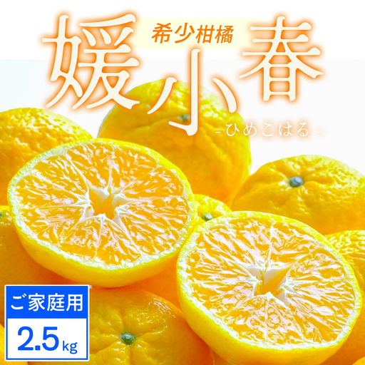 【先行受付】【ご家庭用】媛小春 2.5kg 愛媛県 八幡浜市 西宇和地区 希少な幻の柑橘【C25-323】【1714072】 YWTAP264