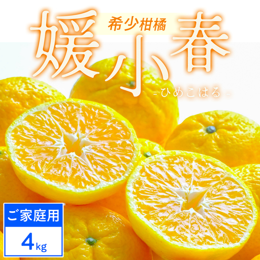 【先行受付】【ご家庭用】媛小春 4kg 愛媛県 八幡浜市 西宇和地区 希少な幻の柑橘【D25-324】【1714078】 YWTAP265