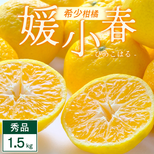 【先行受付】媛小春 1.5kg 愛媛県 八幡浜市 西宇和地区 希少な幻の柑橘 黄色いみかん【C25-357】【1715605】 YWTAP298