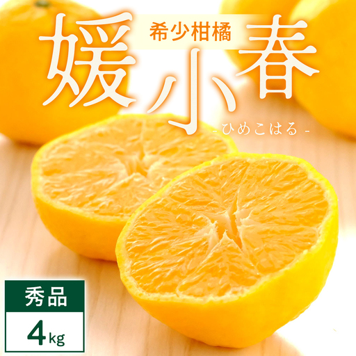 【先行受付】媛小春 4kg 愛媛県 八幡浜市 西宇和地区 希少な幻の柑橘 黄色いみかん【E25-345】【1715608】 YWTAP286