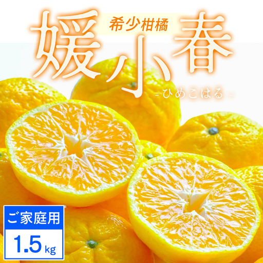 [先行受付][ご家庭用]媛小春 1.5kg みかん 愛媛県八幡浜市 西宇和地区 希少な幻の柑橘[C25-358][1715667] YW