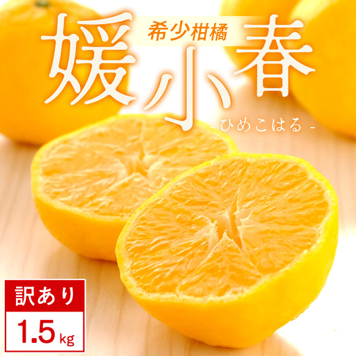 [先行受付][訳あり]媛小春 1.5kg みかん 愛媛県 八幡浜市 西宇和地区 希少な幻の柑橘[C25-359][1715672] YW
