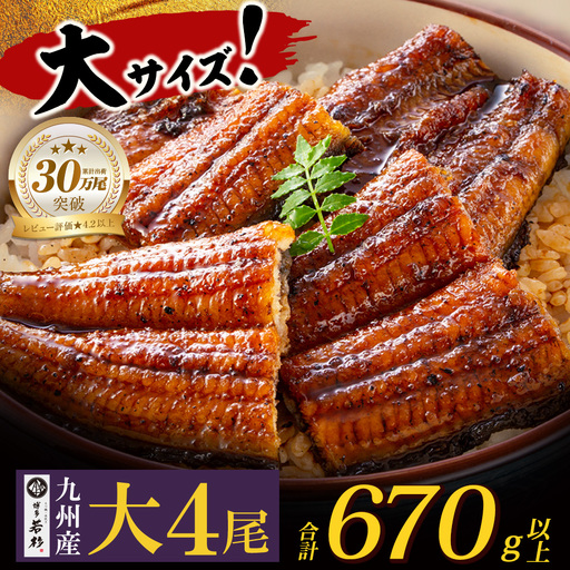 AA61-72 国産 うなぎ 蒲焼大サイズ4尾（計670g以上）うなぎ 丑の日