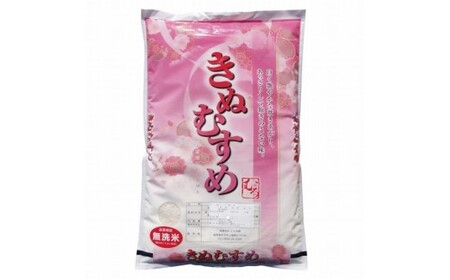 令和7年産 きぬむすめ10kg 無洗米 無洗