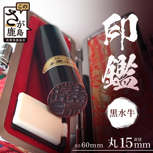 黒水牛印鑑 実印 専用ケース付|はんこ ハンコ 黒水牛 手彫り仕上げ オーダーメイド 進学 就職 結婚 御祝 贈答 印乃匠かしま 送料無料 佐賀県 鹿島市