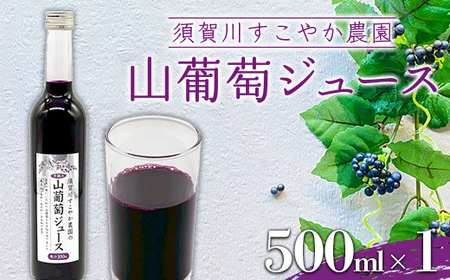 山葡萄 100％ 須賀川すこやか農園 山葡萄ジュース 500ml 1本 ブドウ ぶどう ジュース 飲み物 果汁飲料 飲料 F7X-0811