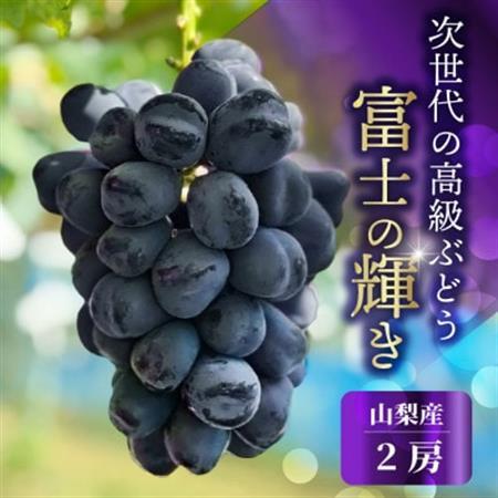 山梨市産 富士の輝  富士の輝き 大粒で高糖度の黒ぶどう 贈答用2房 化粧箱入り【配送不可地域：離島】【1724543】
