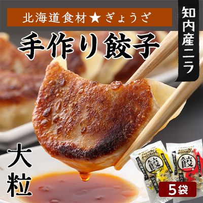 餃子 北海道の食材たっぷり！手作り餃子５袋セット スリーエス