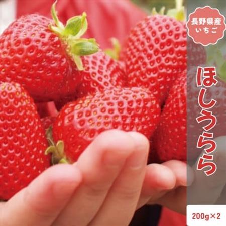 【2026年12月以降順次発送】長野県産 いちご ほしうらら 2パック【約400g】【配送不可地域：離島】【1705148】