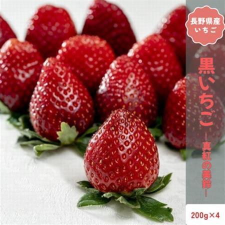 [2026年12月以降順次発送]長野県中野市産 希少黒いちご 真紅の美鈴 4パック[約800g][配送不可地域:離島]