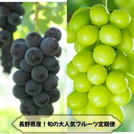 [発送月固定定期便]長野の果物 ナガノパープル+シャインマスカット全2回[配送不可地域:離島]