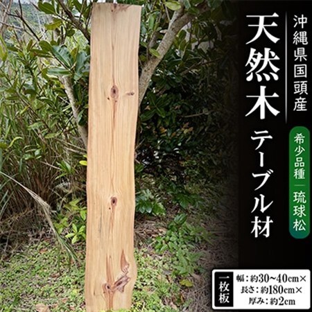 希少品種「琉球松」一枚板(幅約30〜40cm×長さ約180cm×厚み約2cm)天然木