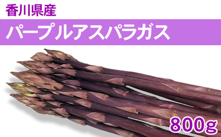 アスパラガス パープルアスパラ 紫アスパラ アスパラガス【800g バラ詰め】 【46311972】