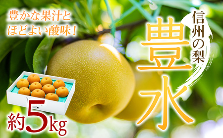 豊水 約5kg 2026年 産地直送 信州産 梨 豊水