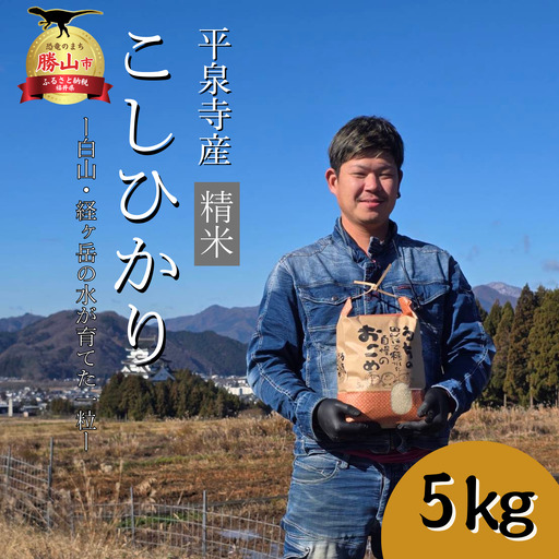 米 令和7年度 新米 コシヒカリ 片岸さんち 白米 5kg [A-097001]