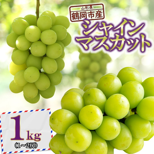 【令和8年産先行予約】 鶴岡市産ぶどう シャインマスカット 約1kg(1～2房) K-835    JA庄内たがわ　