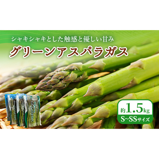 2027年春発送！ふらの グリーンアスパラ 約1.5kg [ 数量限定 先着順 アスパラ アスパラガス 野菜 新鮮 直送 北海道 富良野 ]