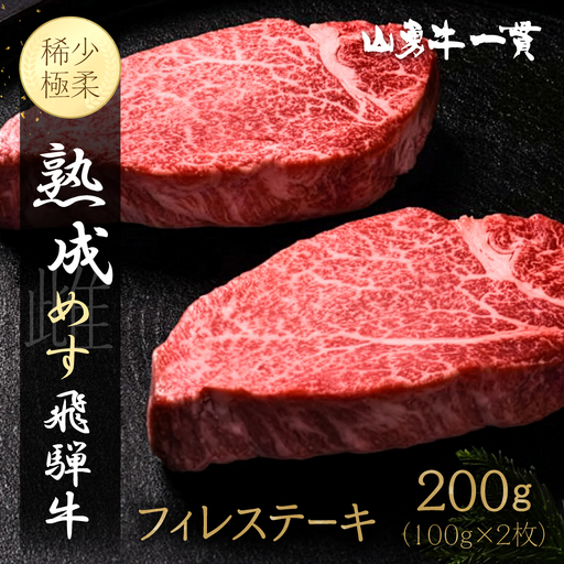 熟成めす 飛騨牛 山勇牛 フィレ ステーキ 100g×2 ヒレ 飛騨牛 フィレ ステーキ
